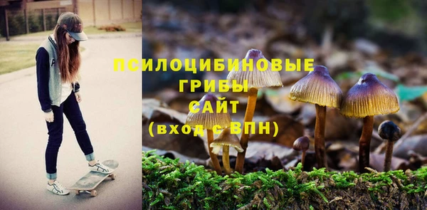 2c-b Заволжье