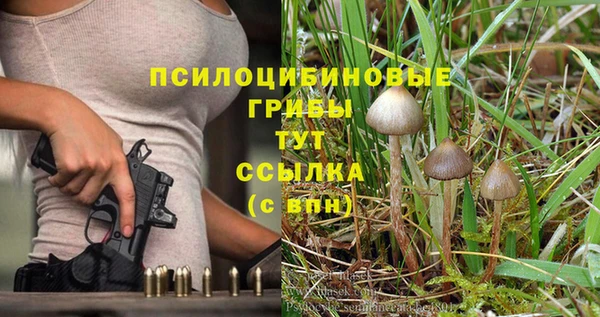 2c-b Заволжье