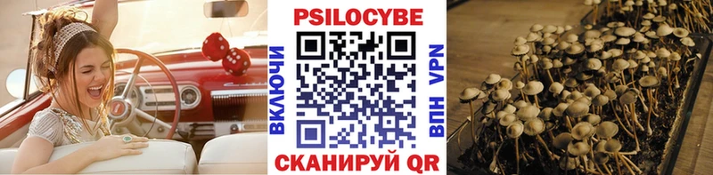 Купить где  Можга  Галлюциногенные грибы мицелий 